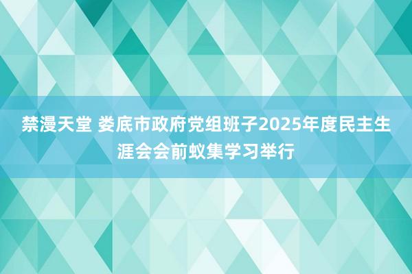禁漫天堂 娄底市政府党组班子2025年度民主生涯会会前蚁集学习举行